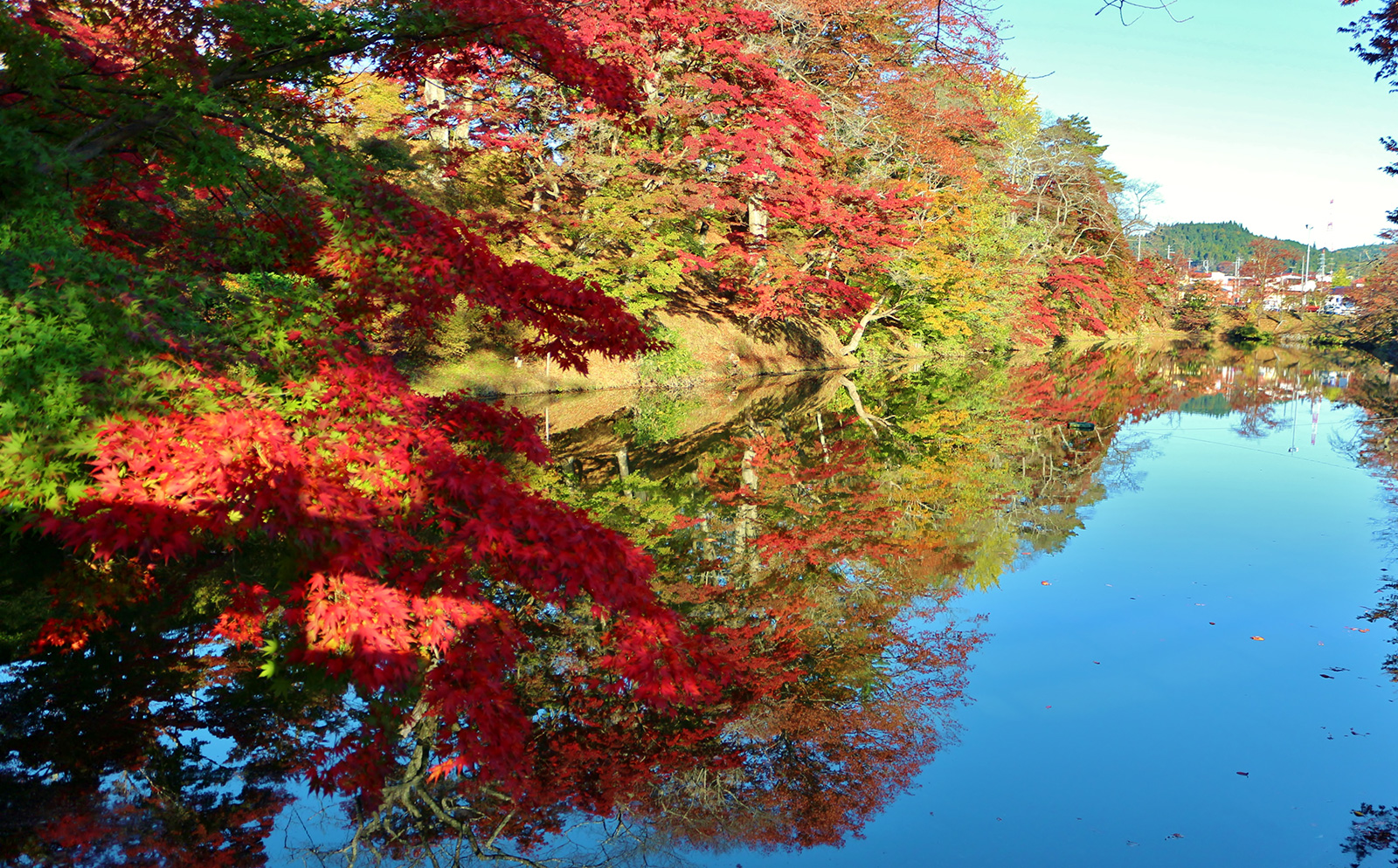 紅葉（棚倉城跡）