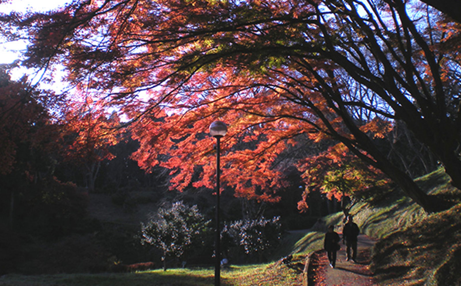 佐久山御殿山紅葉まつり
