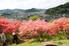 風呂山公園