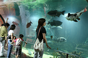 栃木県なかがわ水遊園
