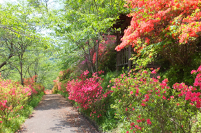 矢祭山公園
