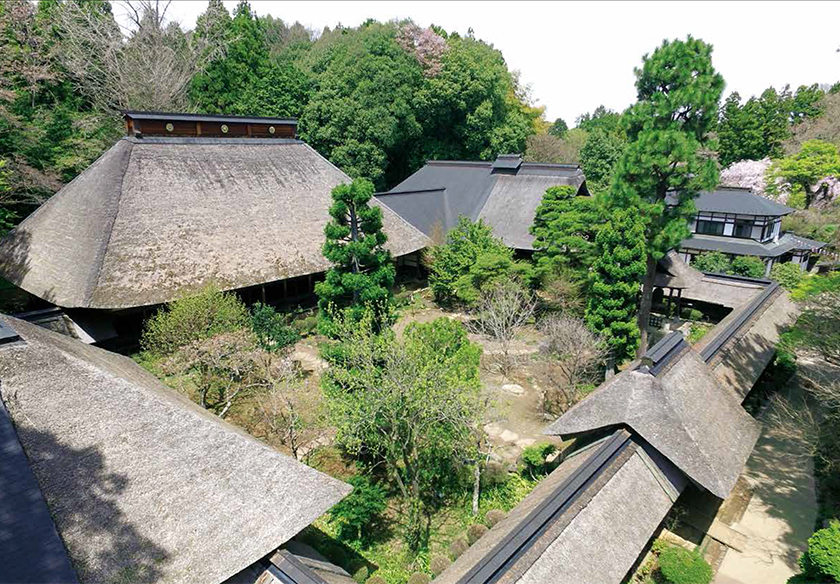 ボタン（大雄寺）